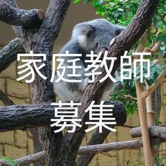 【受付停止中】✨家庭教師募集✨