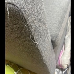 引き取り　ニトリ　ソファ　　の画像