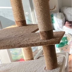 (渡す方決まりました
)キャットタワー