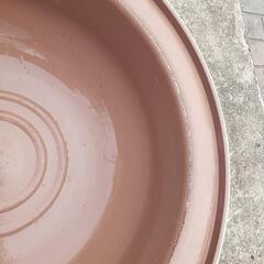睡蓮鉢第3弾　水槽　2個の画像
