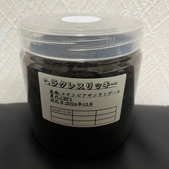 【ボトル不要で1000円】ヘラクレスリッキー3令幼虫