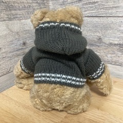 REGALリーガル テディベア の画像