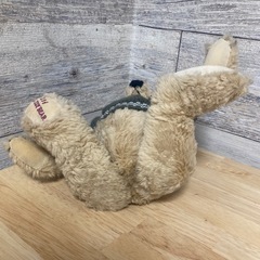 REGALリーガル テディベア の画像
