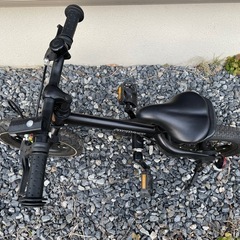 スクスクバイク　12インチの画像
