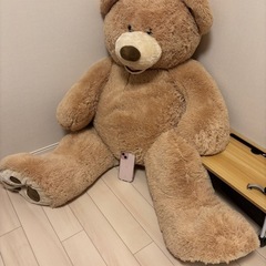 大きなぬいぐるみ
の画像