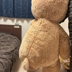 大きなぬいぐるみ
の画像