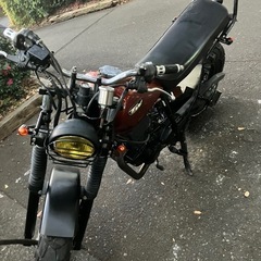 YAMAHA　TW200 カスタム車両の画像