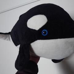 シャチのぬいぐるみ