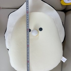 つぶらな瞳 カキ の画像