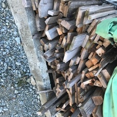 マキ大量