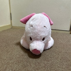 （決まりました）ピグレッド