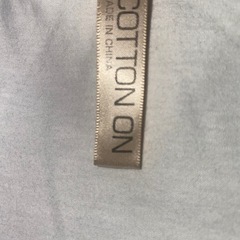 白無地　Tシャツ　Mの画像
