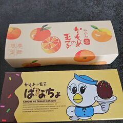 かもめの玉子