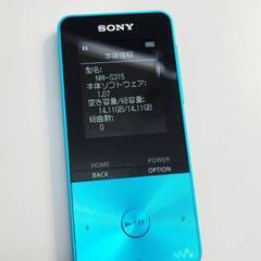 SONY ウォークマン Sシリーズ/NW-S315/16GBの画像