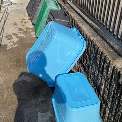 決まりました）トロ舟　タライ