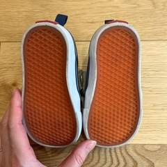 vans スニーカーの画像