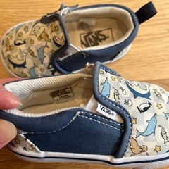 vans スニーカーの画像