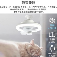 シーリングファンライト　3-6畳用の画像