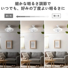 シーリングファンライト　3-6畳用の画像