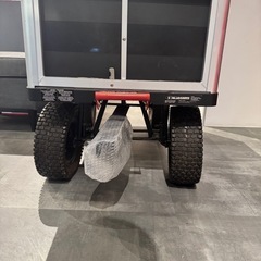 受け渡し者様決定　宮古島　ゴリラカートの画像