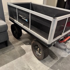 受け渡し者様決定　宮古島　ゴリラカートの画像