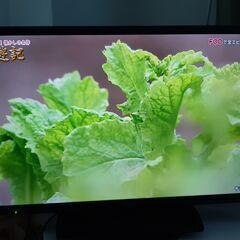 美品　ＡＱＵＯＳ３２型　ＳＨＡＲＰ液晶テレビ　リモコン付