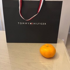 トミー　ヒルフィガー　TOMY HILFIGER 紙袋