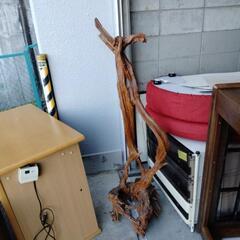 【処分セール!!!】 流木 オブジェクト 切り株 高さ140cm...