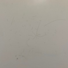 【決まりました】コタツ　ニトリの画像