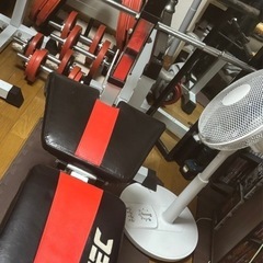 アイロテック 筋トレ トレーニング 道具  ダンベル ベンチプレスの画像