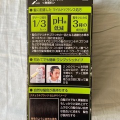 メンズ男性用白髪染めルシードワンプッシュケアカラーナチュラルブラックの画像