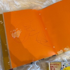 葉加瀬太郎の英語のうた　CD3枚付本の画像