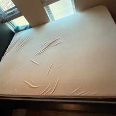 トゥルースリーパー　ダブルサイズ