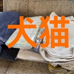 【お話中】タオル  バスタオル