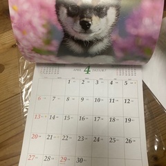 2025カレンダー2冊の画像