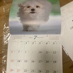 2025カレンダー2冊の画像