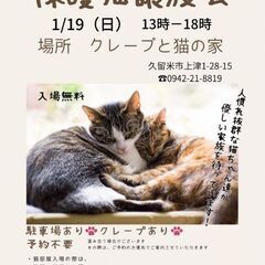 保護猫譲渡会1/19(日)