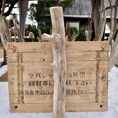 SEASIDEinterior★インテリアディスプレイに流木 C...