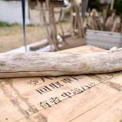 SEASIDEinterior★インテリアディスプレイに流木 Cool driftwood for decorating 141の画像