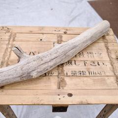 SEASIDEinterior★インテリアディスプレイに流木 Cool driftwood for decorating 141の画像