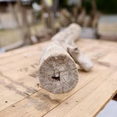 SEASIDEinterior★インテリアディスプレイに流木 Cool driftwood for decorating 141の画像
