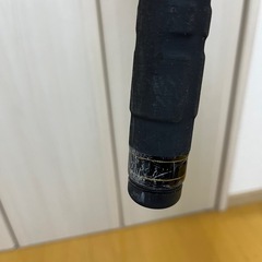 ガーラモンスターの画像