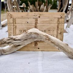 SEASIDEinterior★インテリアディスプレイに流木 C...