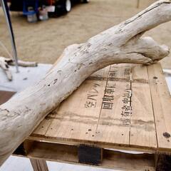 SEASIDEinterior★インテリアディスプレイに流木 Cool driftwood for decorating 140の画像
