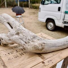 SEASIDEinterior★インテリアディスプレイに流木 Cool driftwood for decorating 140の画像
