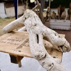 SEASIDEinterior★インテリアディスプレイに流木 Cool driftwood for decorating 140の画像