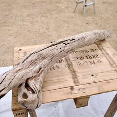 SEASIDEinterior★インテリアディスプレイに流木 Cool driftwood for decorating 139の画像