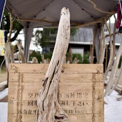 SEASIDEinterior★インテリアディスプレイに流木 C...