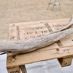 SEASIDEinterior★インテリアディスプレイに流木 Cool driftwood for decorating 138の画像