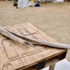 SEASIDEinterior★インテリアディスプレイに流木 Cool driftwood for decorating 138の画像
